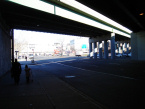 Under the Long Island Expressway