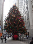 NY Stock Exchange christmas tree