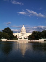 The Capitol